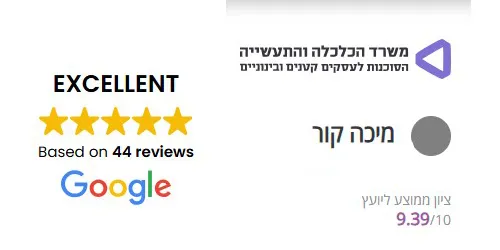 ציוני יועץ שיווקי במעוף
